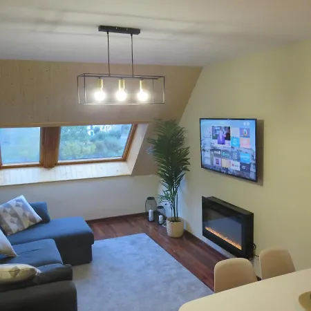 Atico Duplex Reformado Con Vistas A La Montana Canfranc