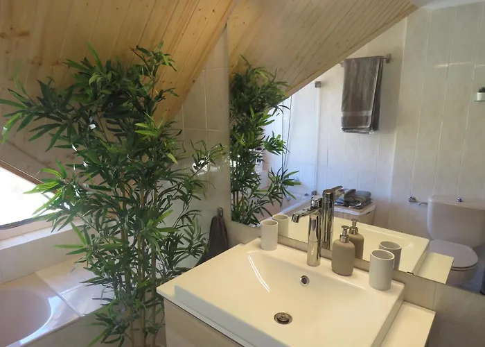 Lägenhet Atico Duplex Reformado Con Vistas A La Montana Canfranc